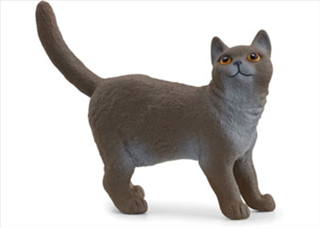 Schleich - British Shorthair Cat/Product Detail/Toys