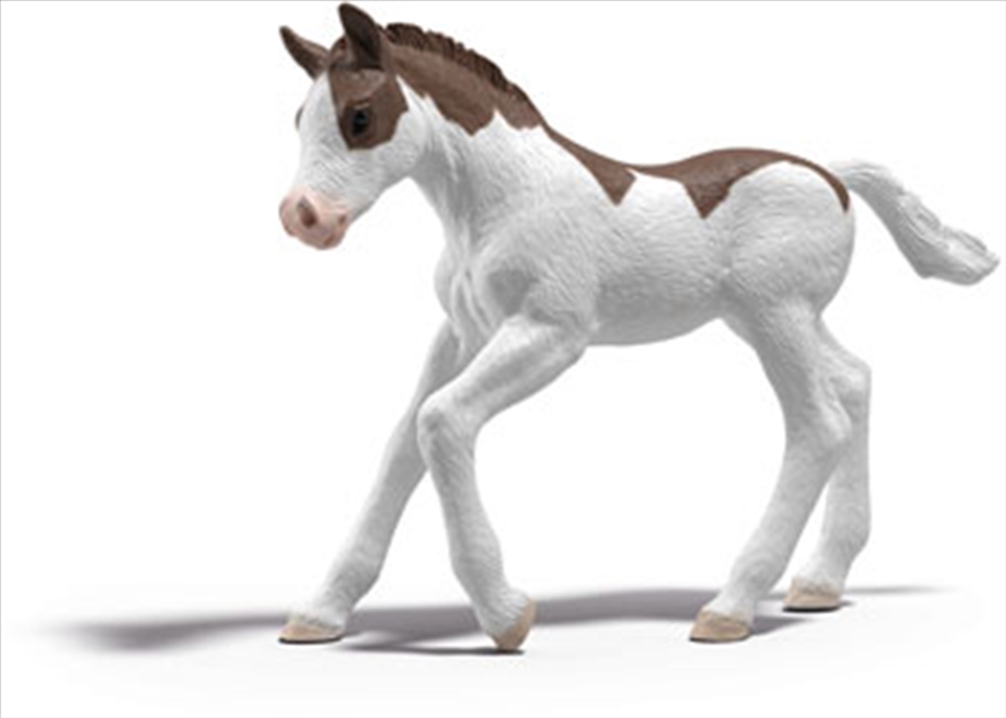 Schleich - Collectible Foal Dipper/Product Detail/Toys