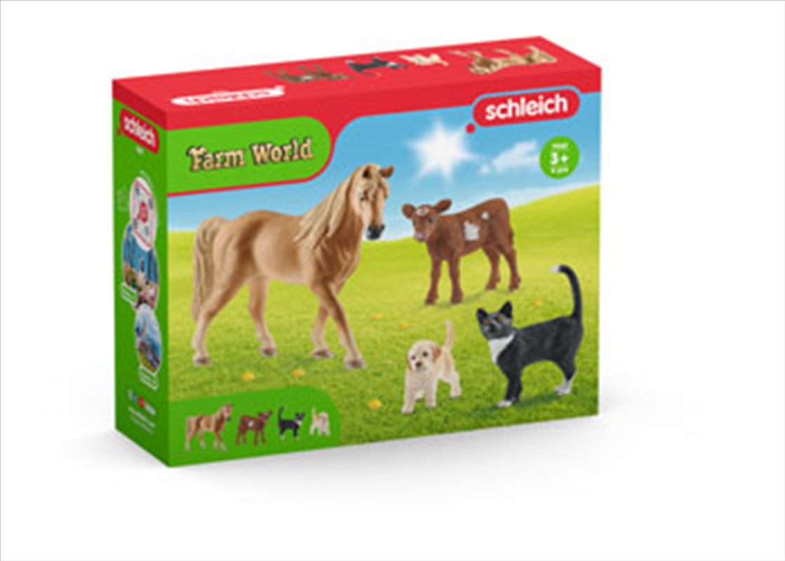 Schleich - Farm & Pet Starter Set/Product Detail/Toys