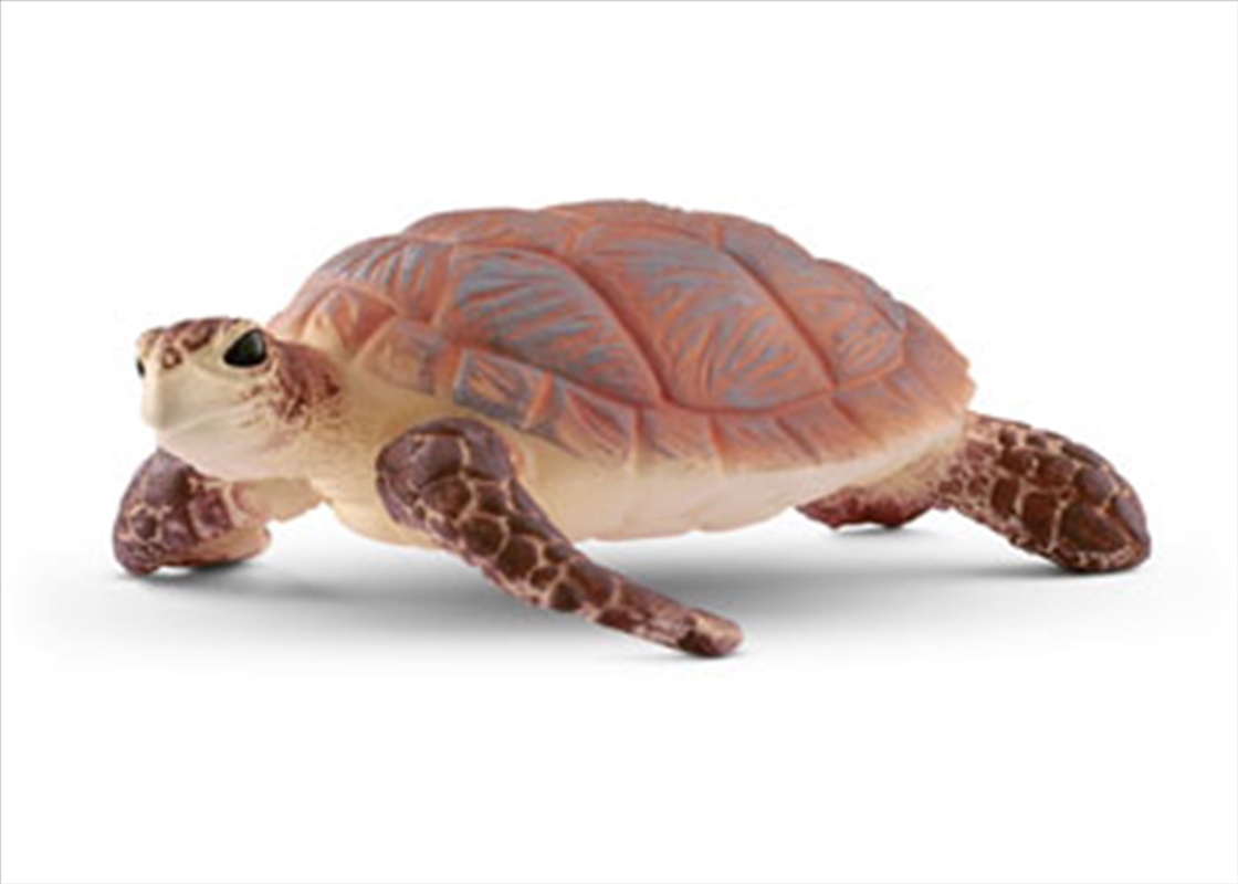 Schleich - Hawskbill sea turtle/Product Detail/Toys