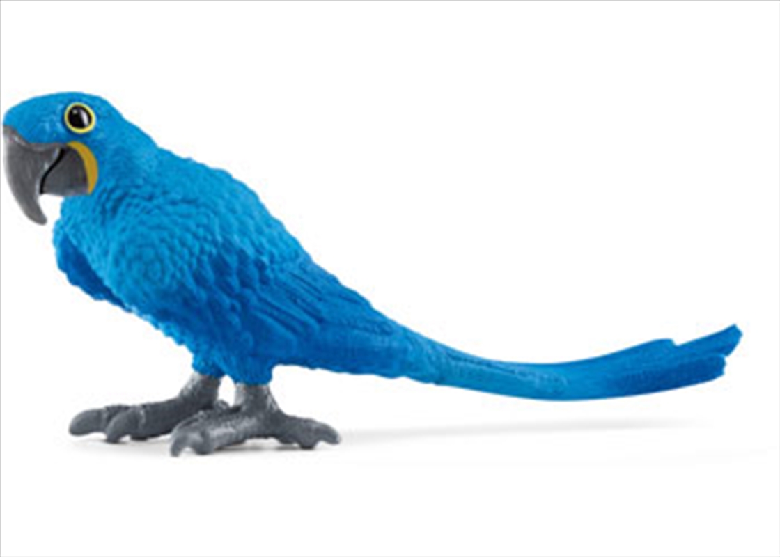 Schleich - Hyazinth Macaw/Product Detail/Toys