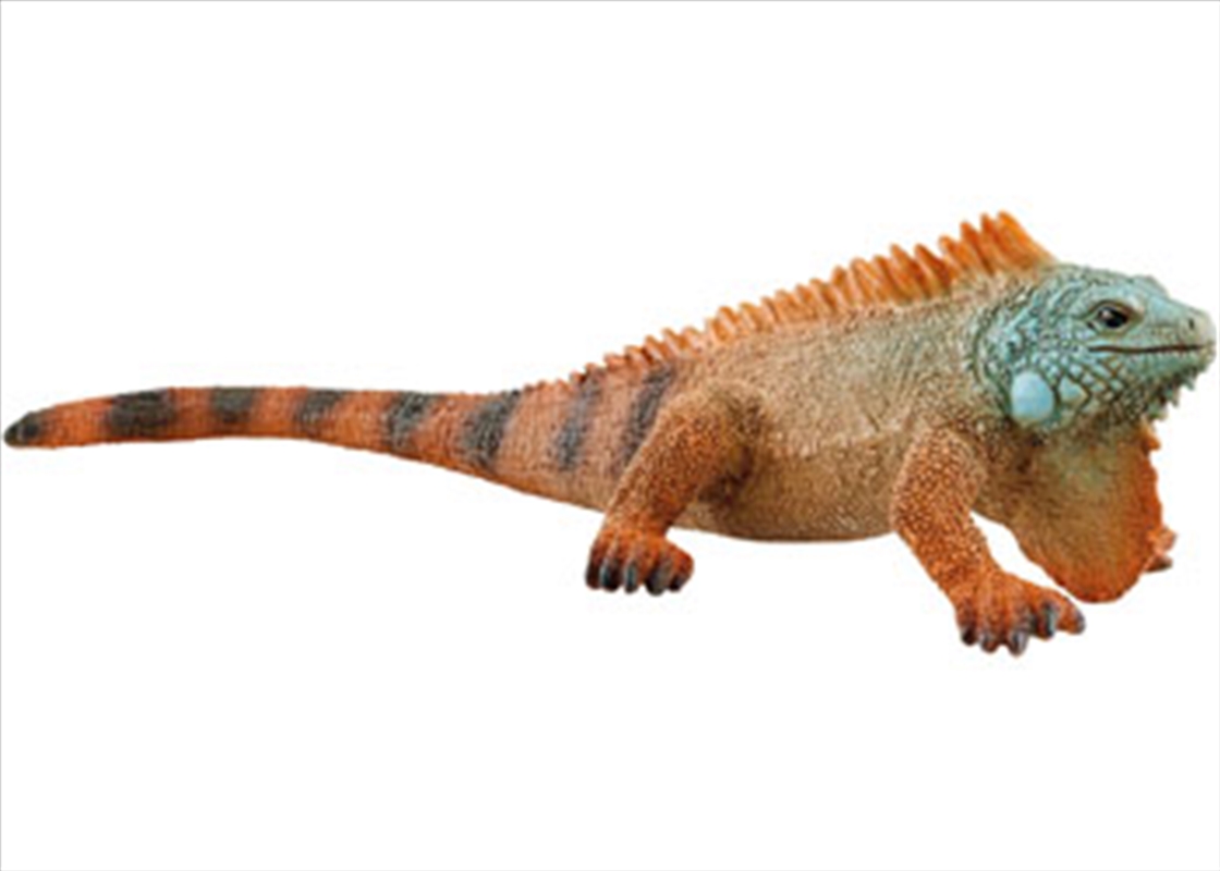 Schleich - Iguana/Product Detail/Toys