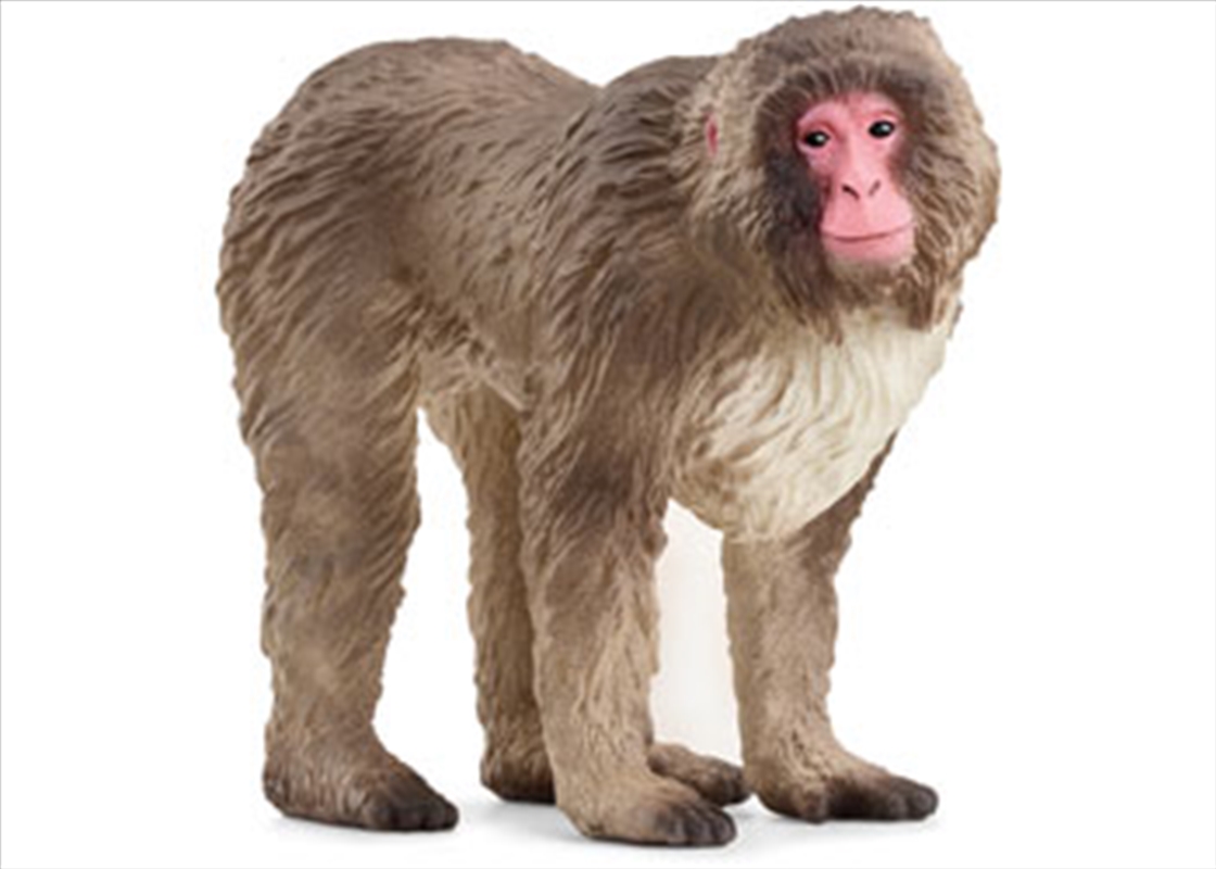 Schleich - Japanese Macaque/Product Detail/Toys