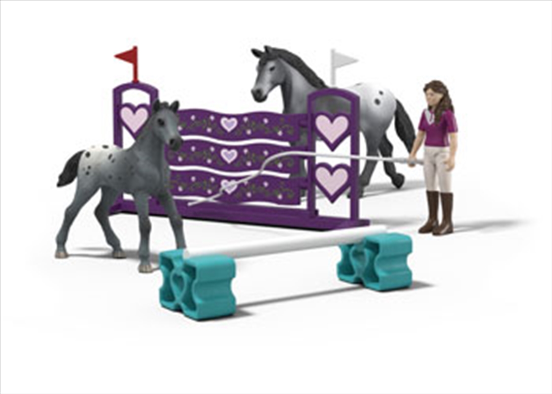 Schleich - Lisa's Tournament Training/Product Detail/Toys