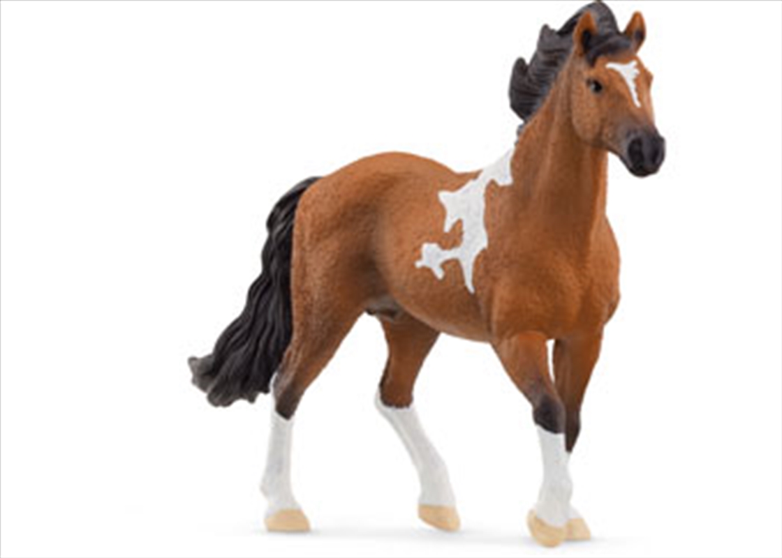 Schleich - Mangalarga Marchador Stallion/Product Detail/Toys