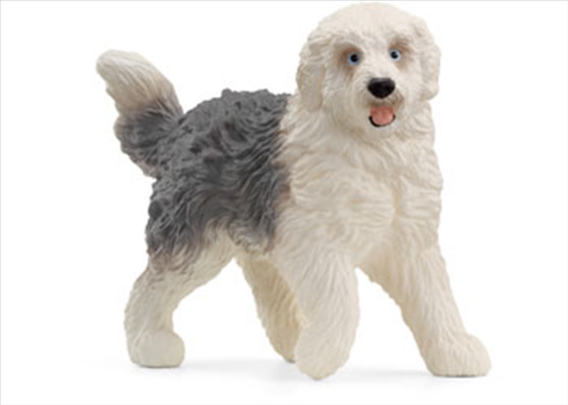 Schleich - Old English Sheepdog/Product Detail/Toys