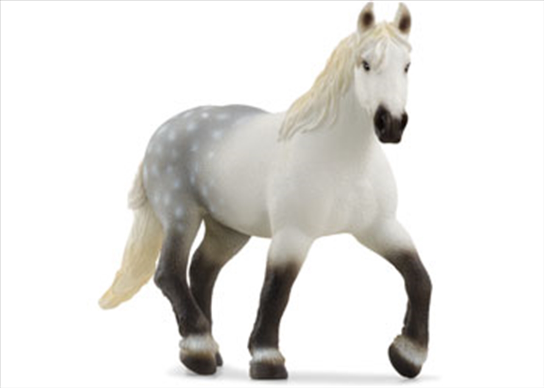 Schleich - Percheron Mare/Product Detail/Toys