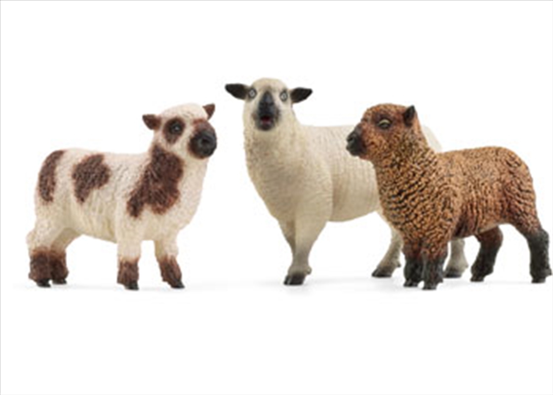 Schleich - Sheep Friends/Product Detail/Toys