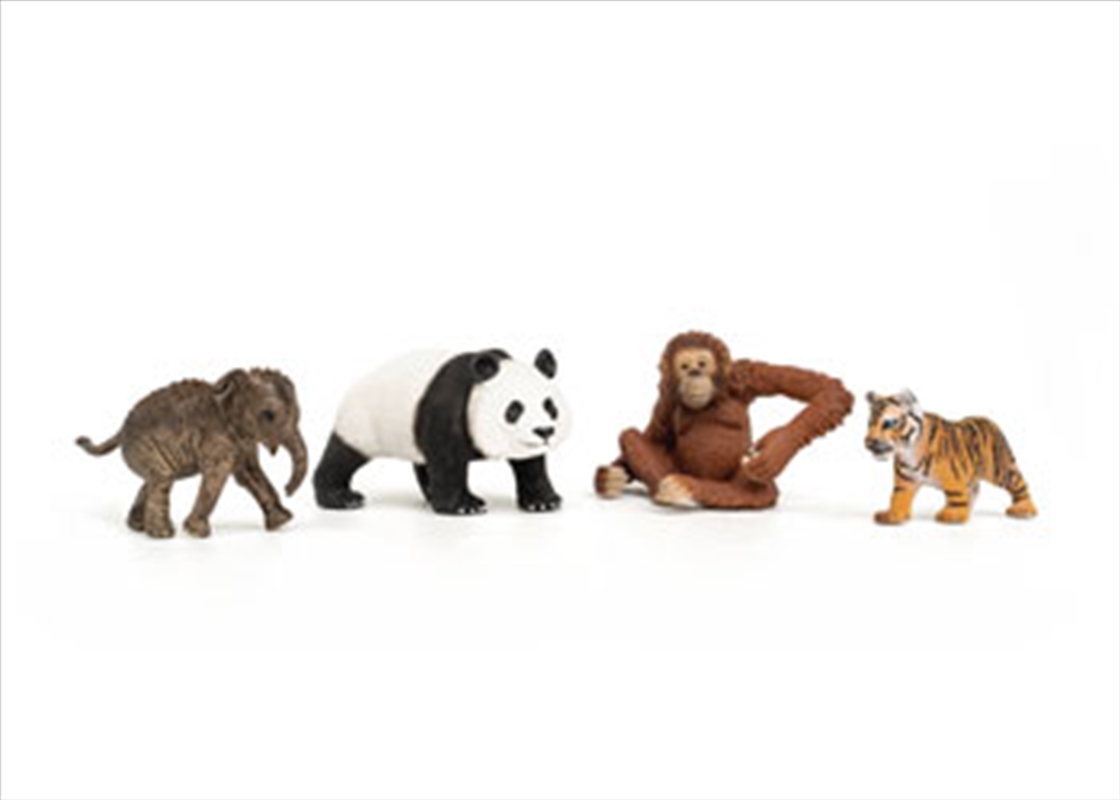 Schleich - Wild Life Asia Starter Set/Product Detail/Toys