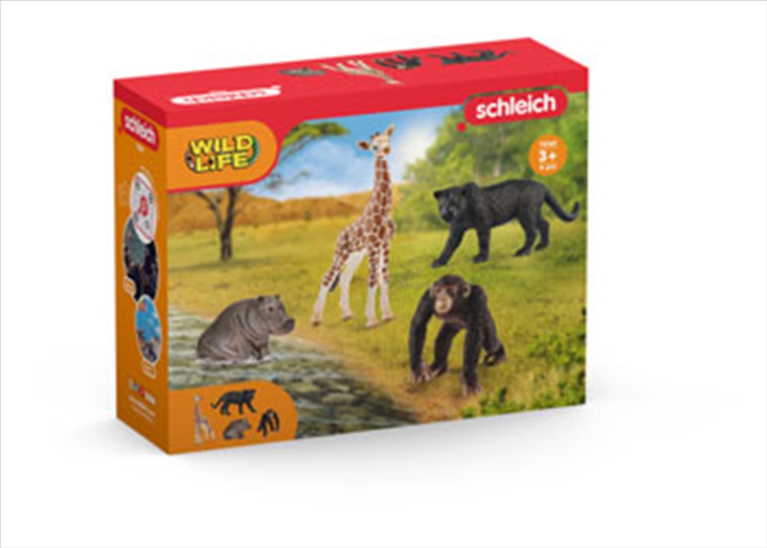 Schleich - Wild Life Safari Starter Set/Product Detail/Toys