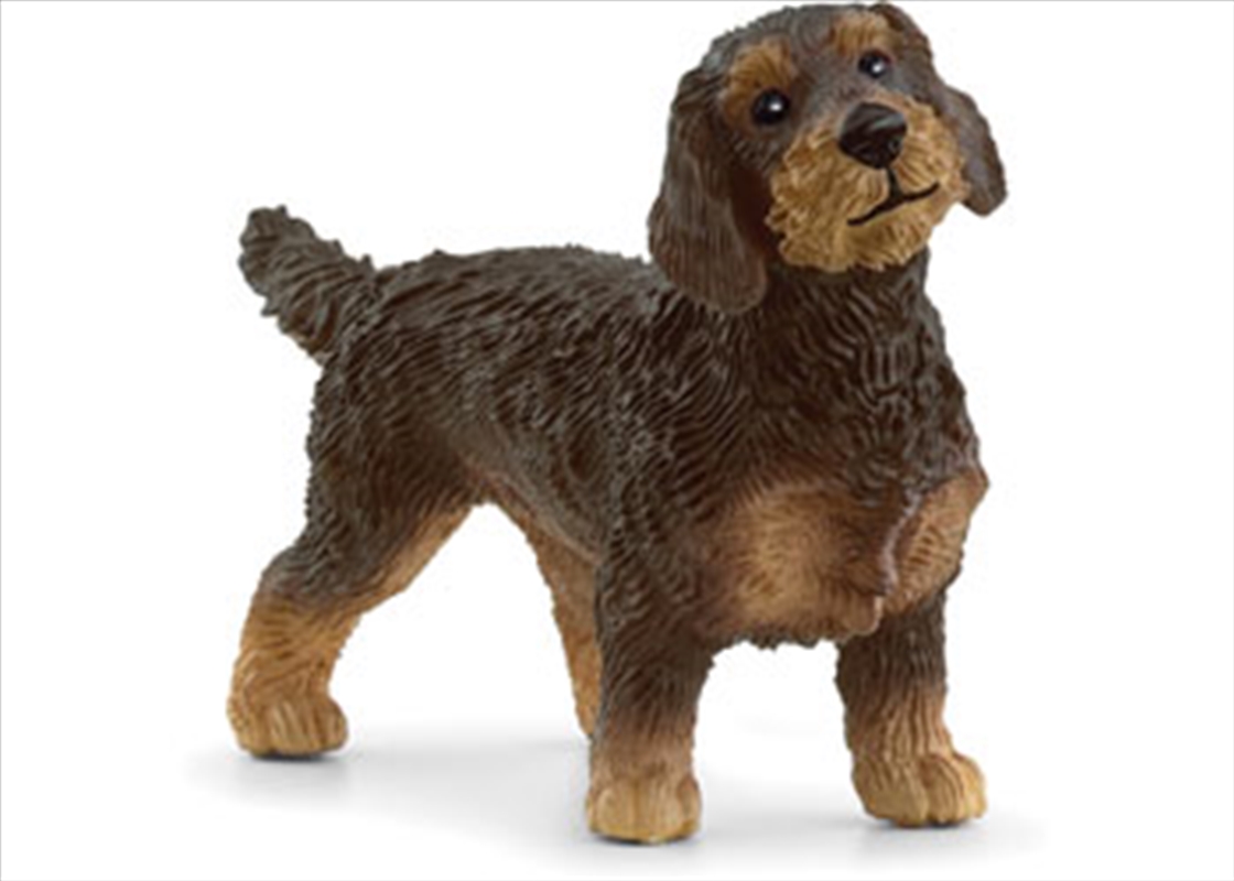 Schleich - Wire-Haired Dachshund/Product Detail/Toys