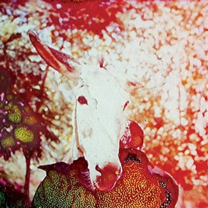 If He Dies, If If If If If If/Product Detail/Specialist