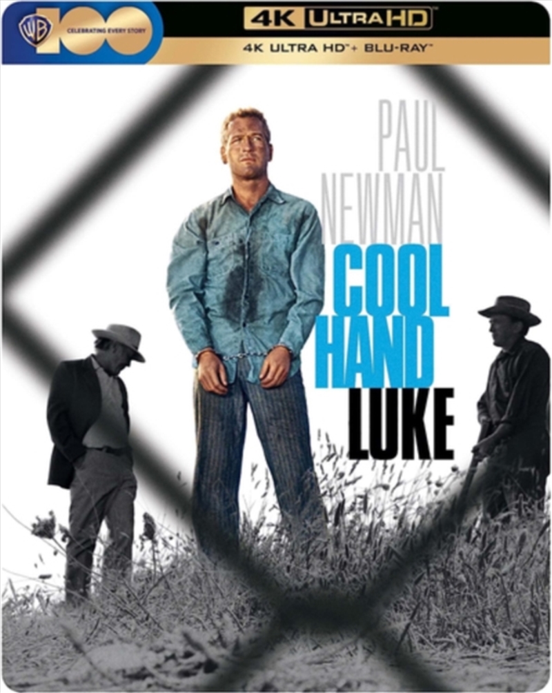 Cool Hand Luke Limited Edition Steelbook/Product Detail/Drama