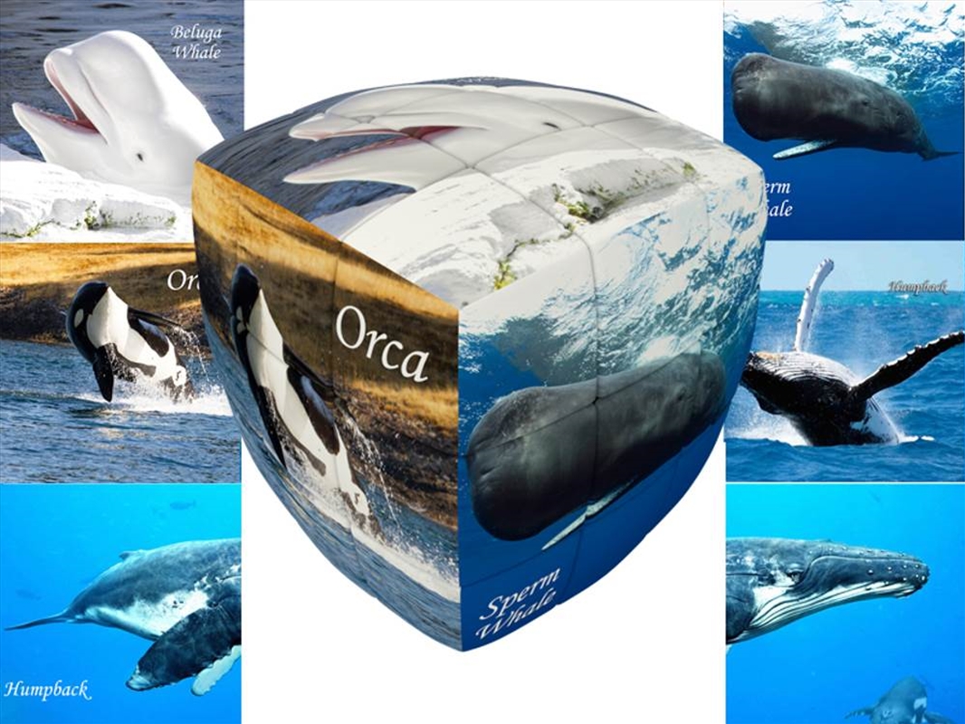 V-Cube Whales 3X3 Pillow/Product Detail/Games