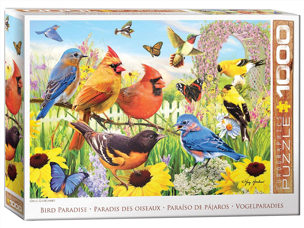Backyard Birds 1000 Piece Puzzle/Product Detail/Jigsaw Puzzles