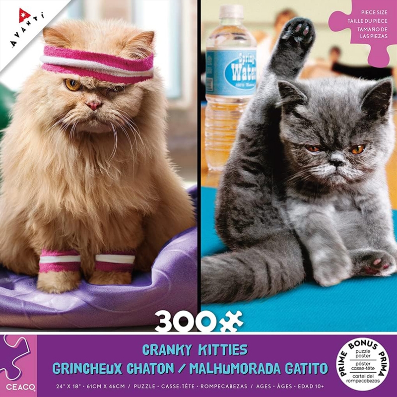 Cranky Kitties Duo 300Pcxl/Product Detail/Jigsaw Puzzles