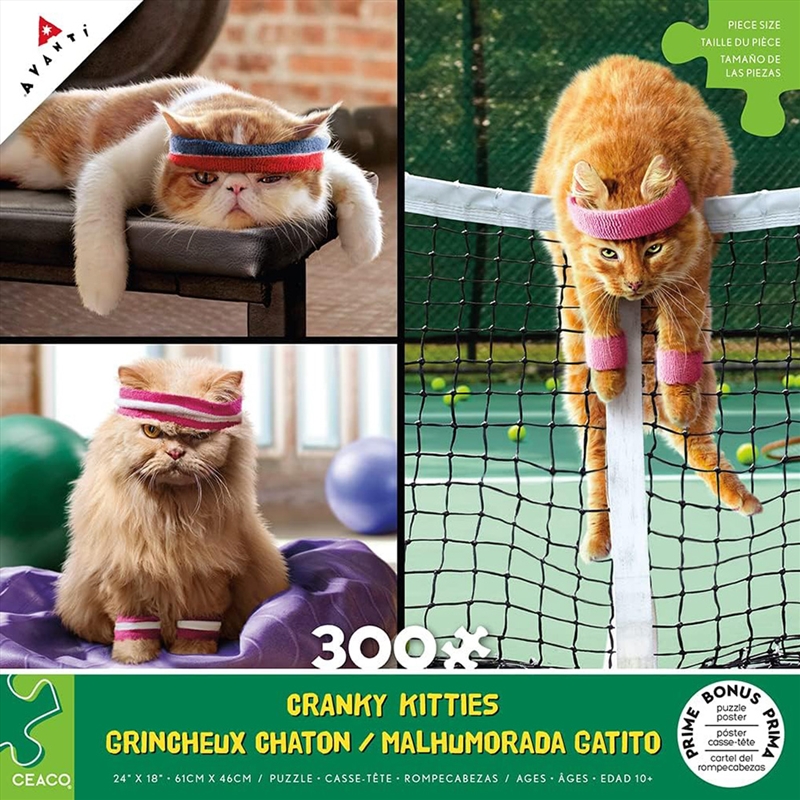 Cranky Kitties Trio 300Pcxl/Product Detail/Jigsaw Puzzles