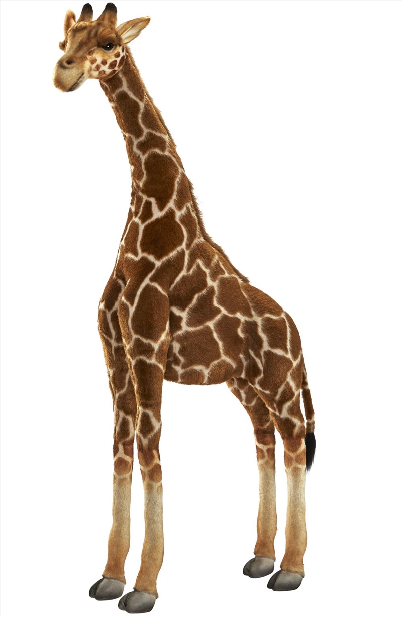 Giraffe 130cm H/Product Detail/Plush Toys