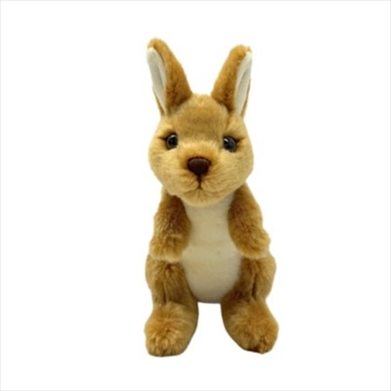 KYLE The Kangaroo 15cm/Product Detail/Plush Toys