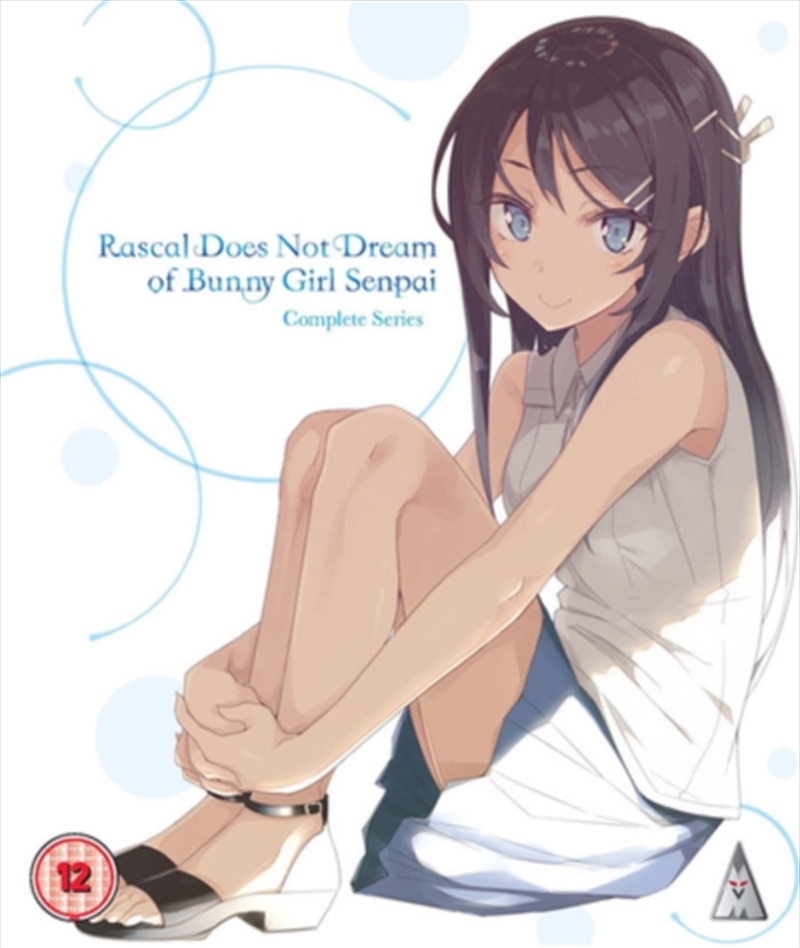 Rascal Does Not Dream Of Bunny Girl Senpai/Product Detail/Anime