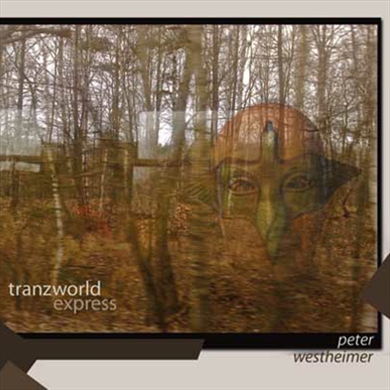 Tranzworld Express/Product Detail/Dance