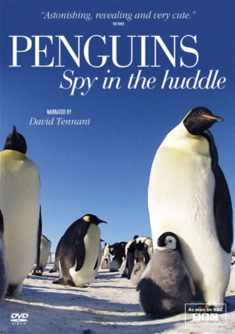 Penguins - Spy In The Huddle (REGION 2)/Product Detail/Documentary