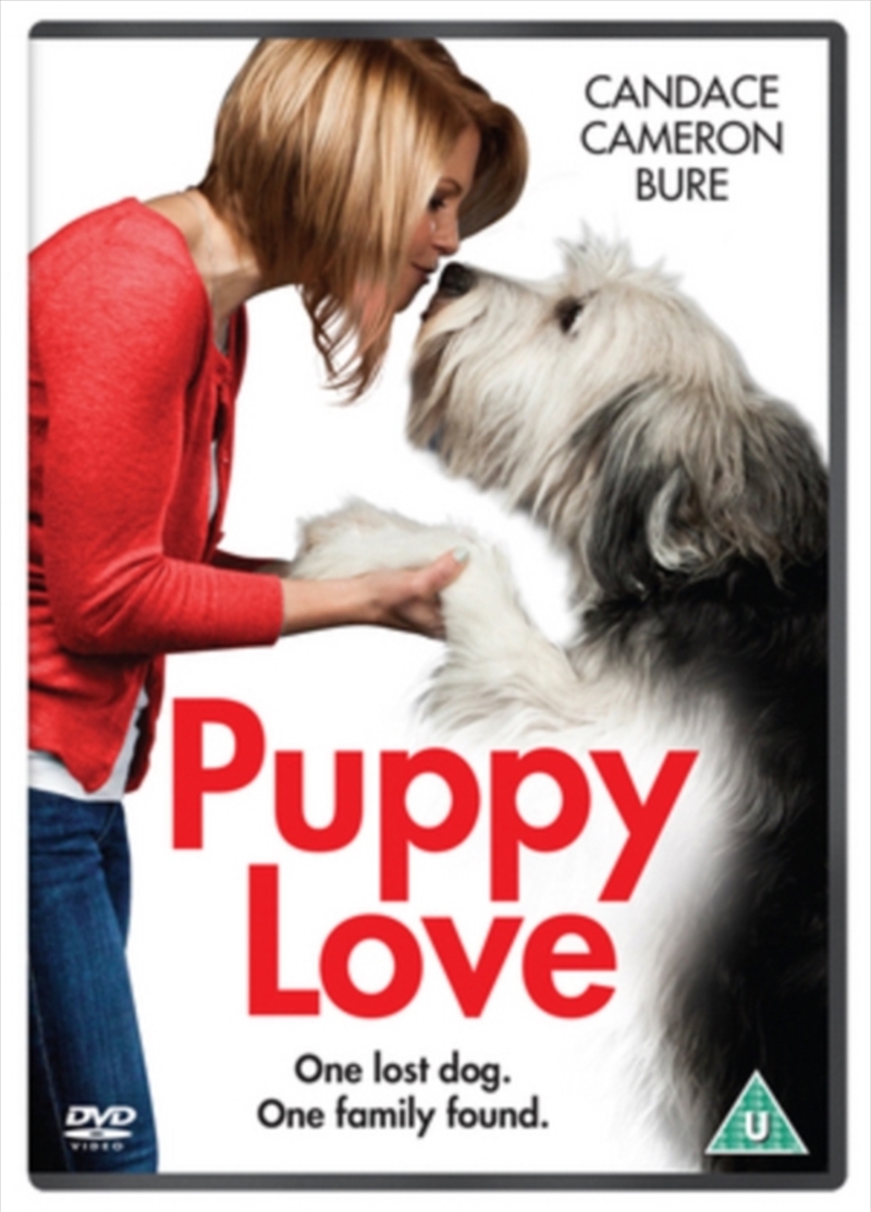 Puppy Love (REGION 2)/Product Detail/Drama