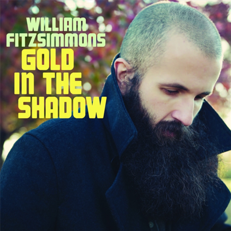 Gold In The Shadow/Product Detail/Alternative