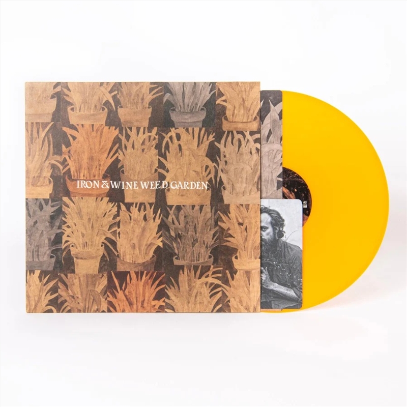 Weed Garden/Product Detail/Rock/Pop