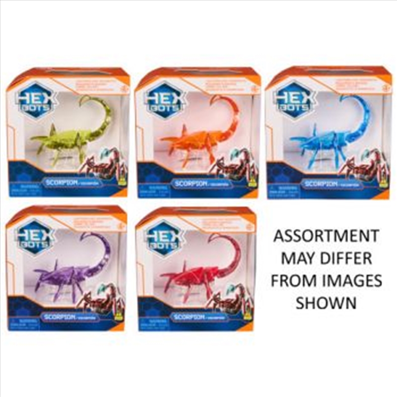 Hex Bots Scorpion assorted (SENT AT RANDOM)/Product Detail/Toys