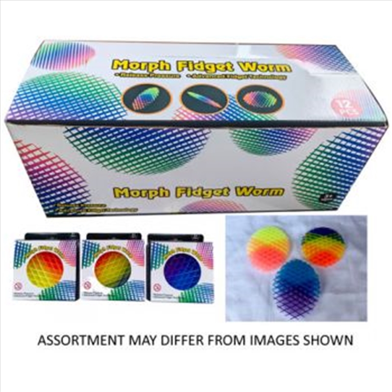 Morph Fidget Worm Large Multi-Colour  assorted (SENT AT RANDOM)/Product Detail/Toys