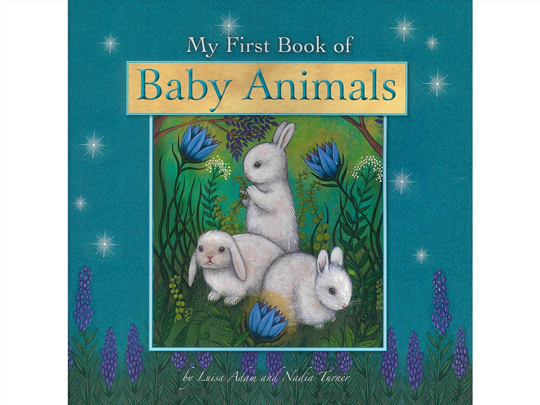 First Book Of Baby Animals/Product Detail/Early Childhood Fiction Books