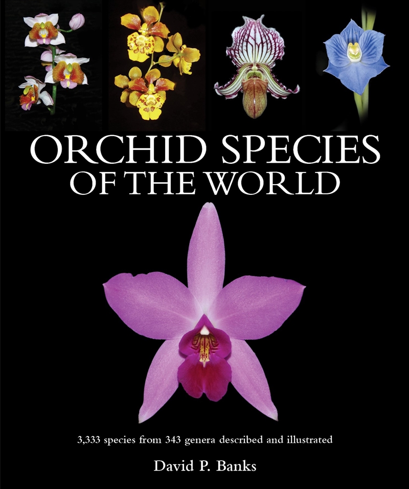 Orchid Species Of The World/Product Detail/Gardening