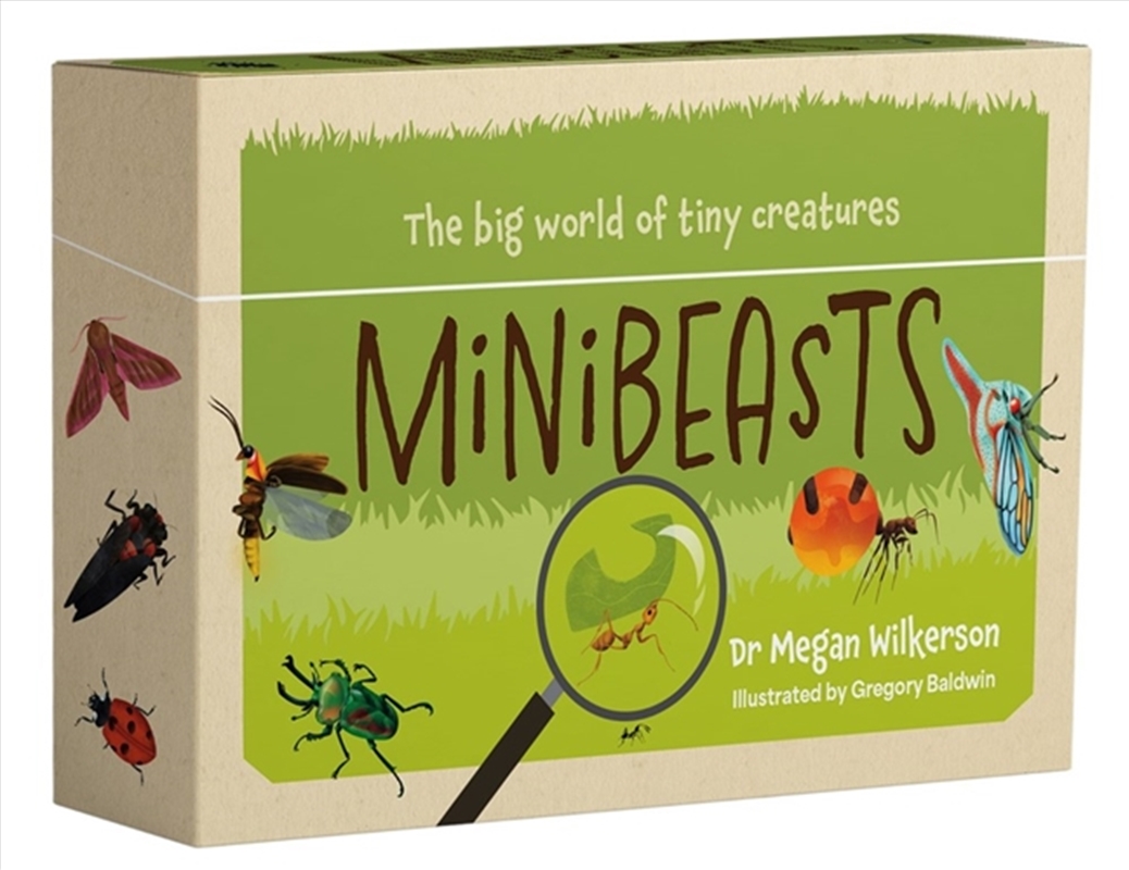 Minibeasts/Product Detail/Animals & Nature