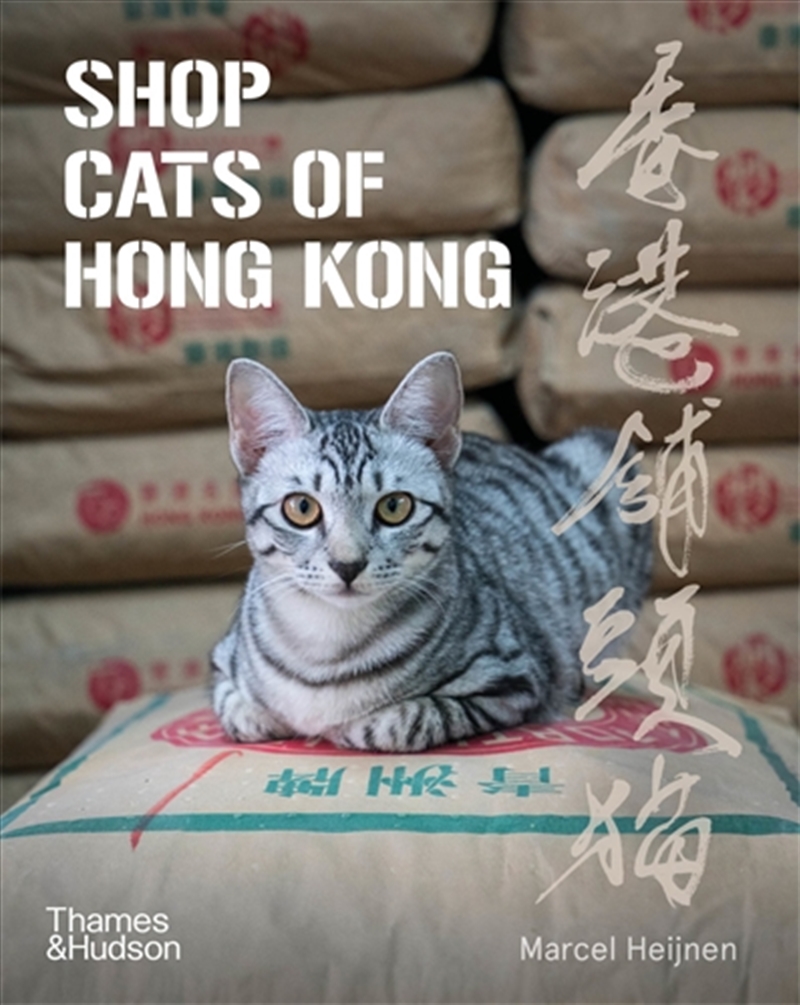Shop Cats of Hong Kong/Product Detail/Animals & Nature