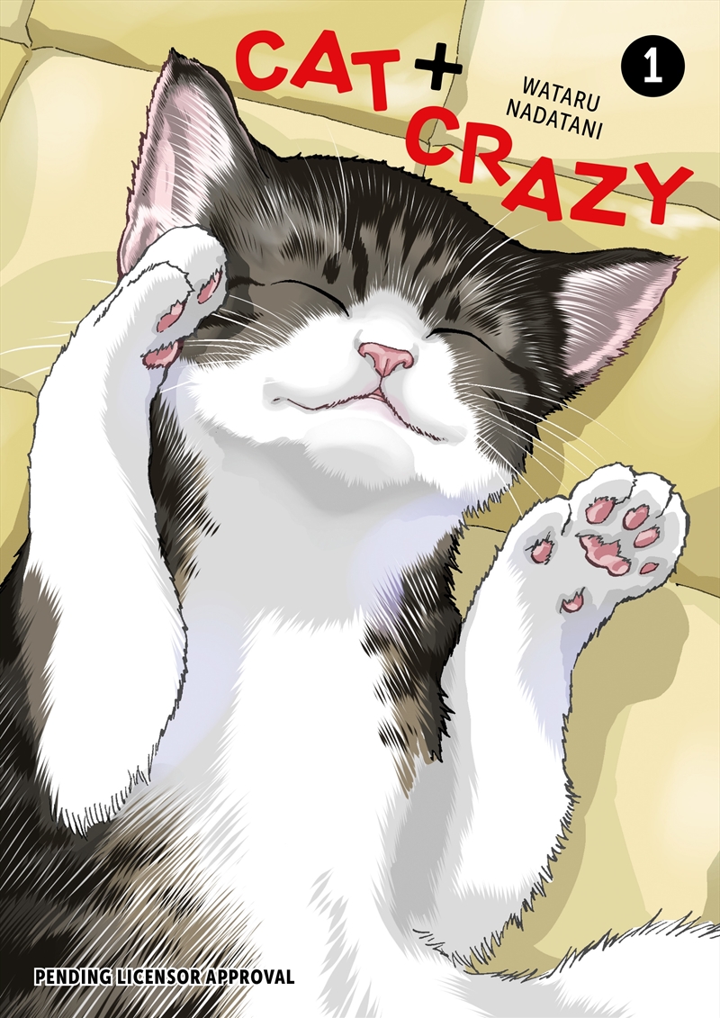 Cat + Crazy Volume 1/Product Detail/Graphic Novels