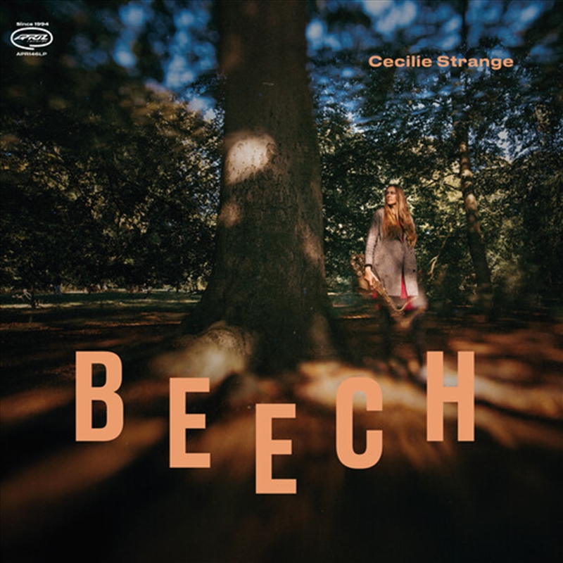 Beech/Product Detail/Jazz
