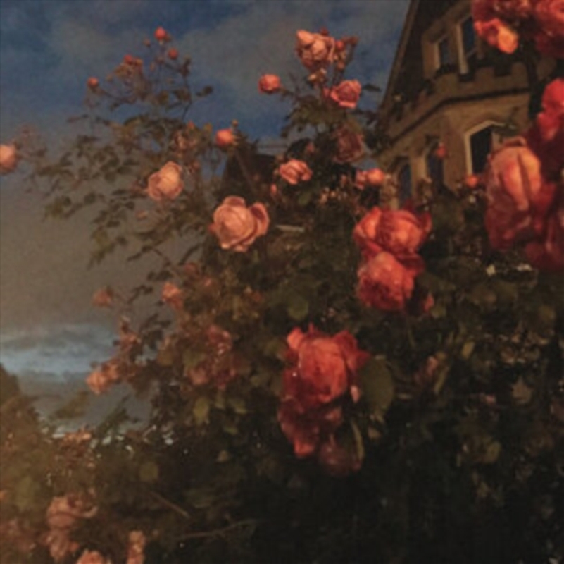 Love/Product Detail/Dance