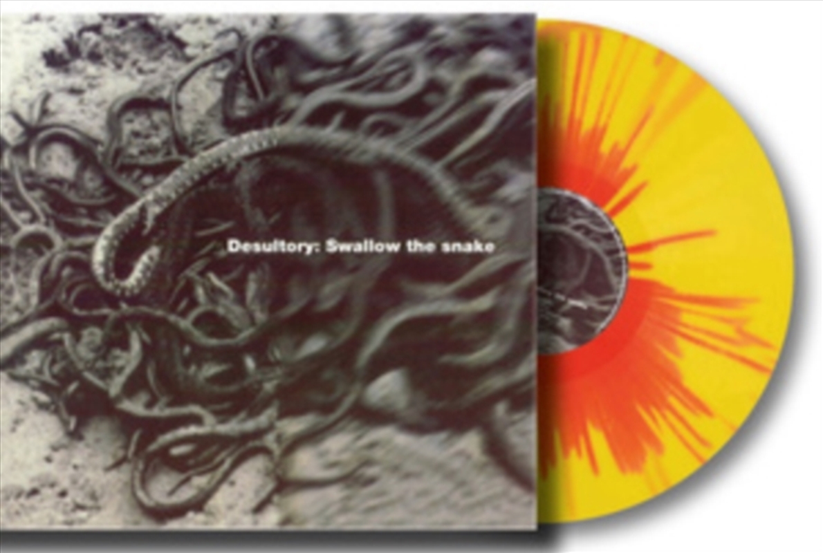 Swallow The Snake - Sunburst Y/Product Detail/Rock/Pop