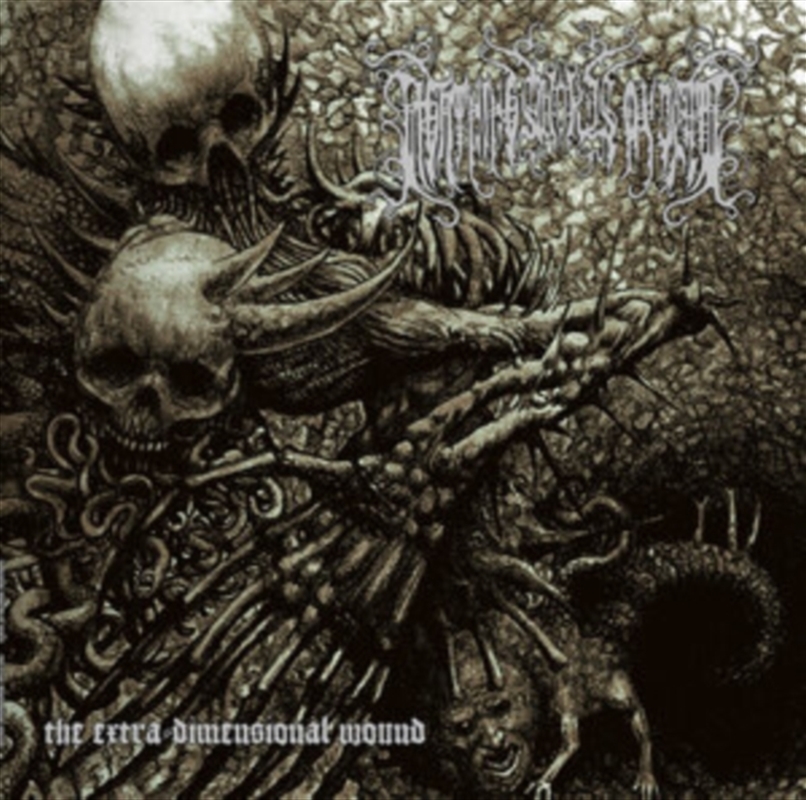 The Extra Dimensional Wound -/Product Detail/Rock/Pop