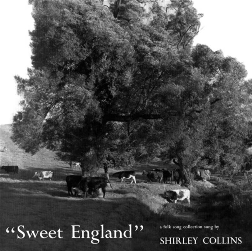 Sweet England/Product Detail/Rock/Pop