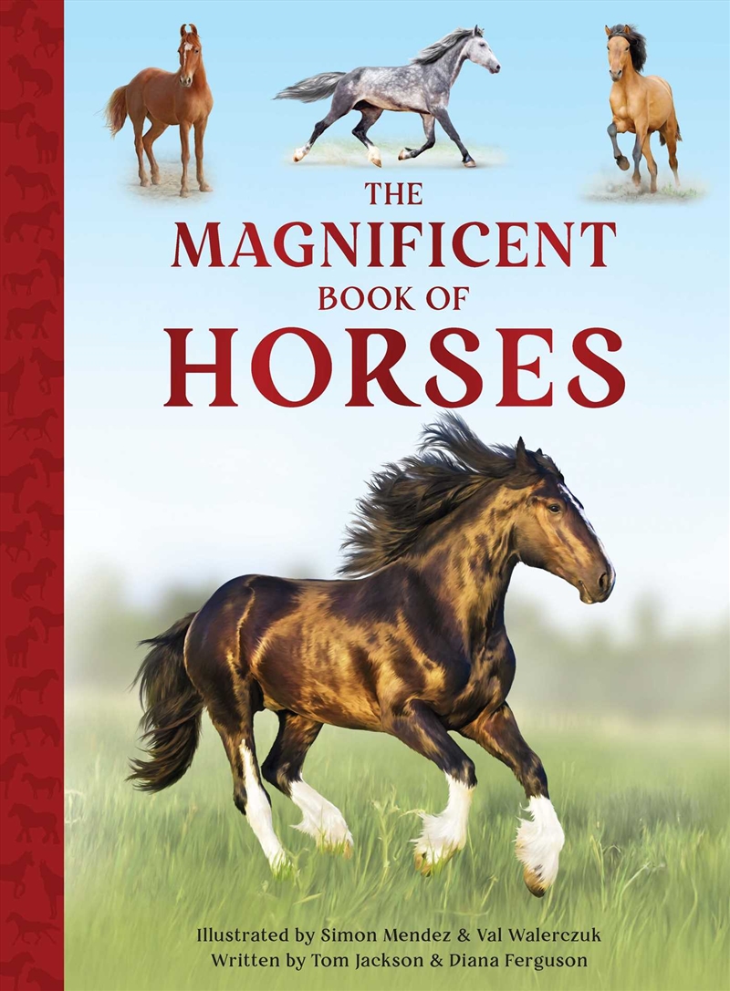The Magnificent Book Of Horses/Product Detail/Animals & Nature