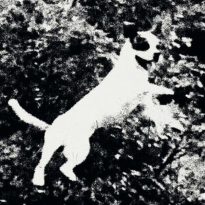 Azura/Product Detail/Dance