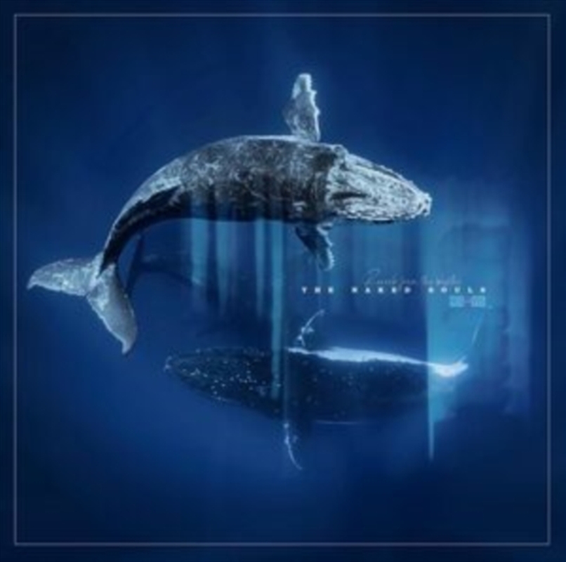 Reverb From The Depths/Product Detail/Rock/Pop