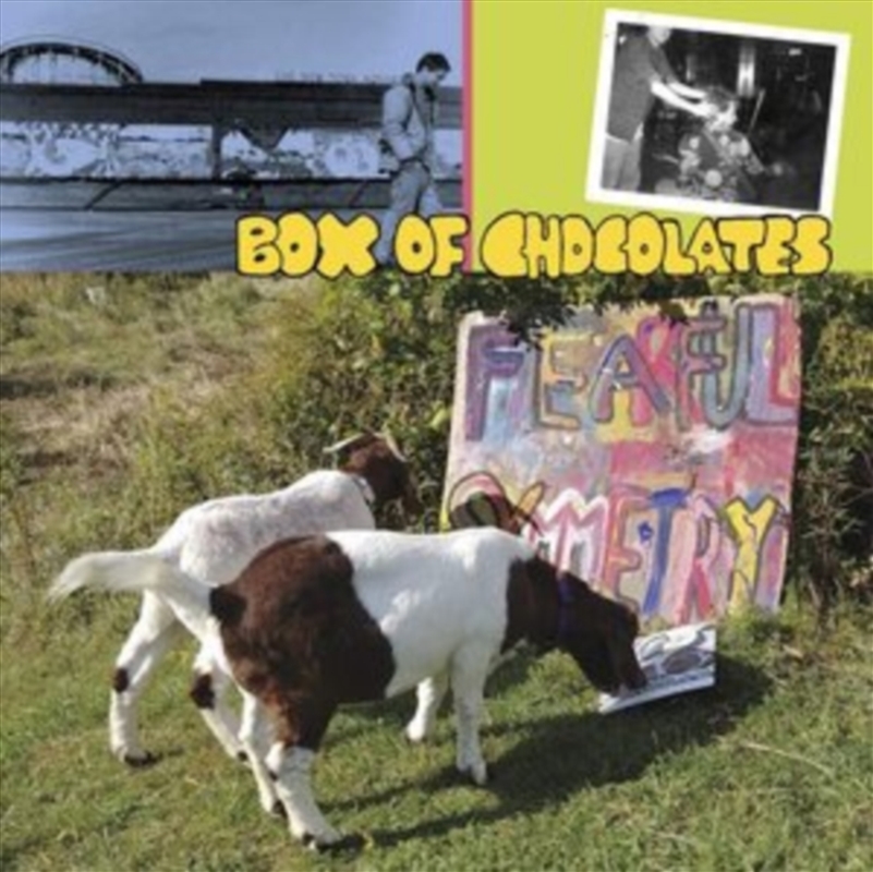 Fearful Symmetry/Product Detail/Rock/Pop