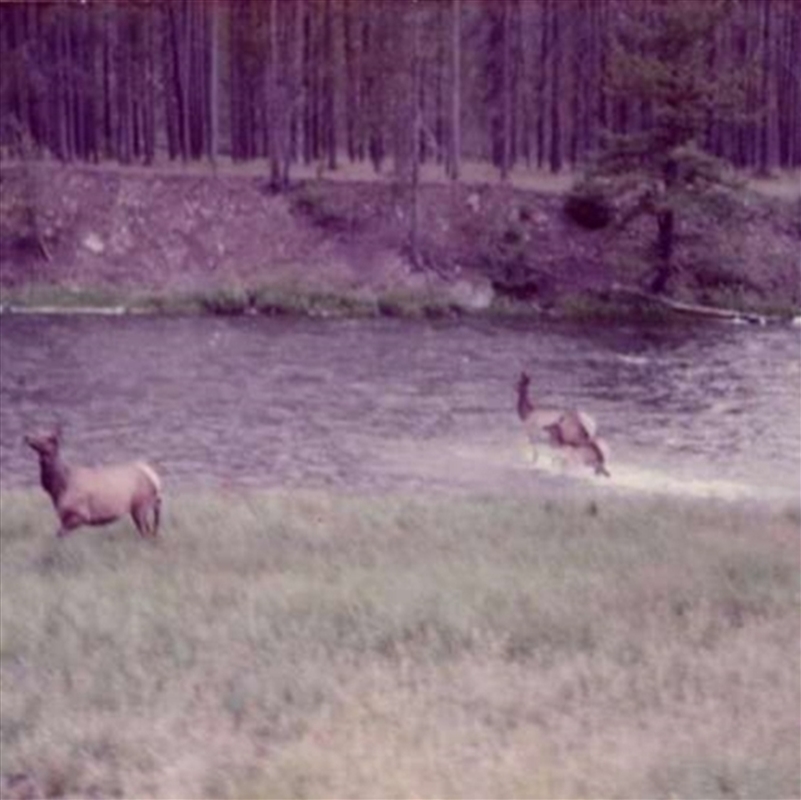 Winter Forever/Product Detail/Alternative