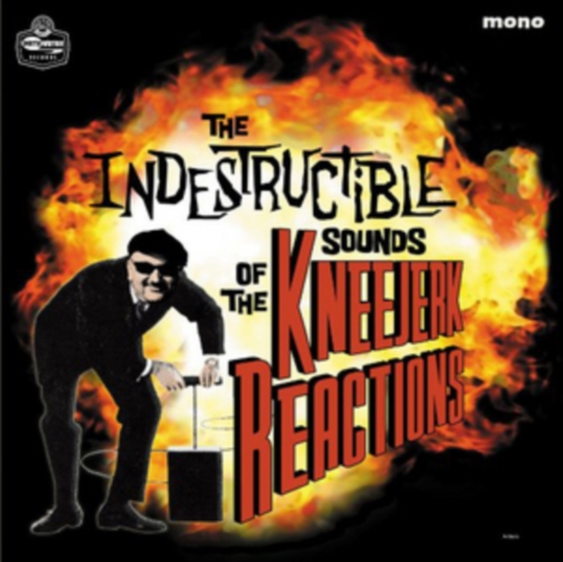 The Indestructible Sounds Of . . ./Product Detail/Rock/Pop