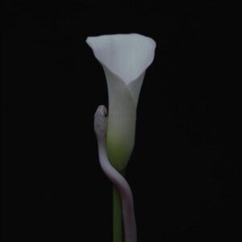Parrhesia - Black/White/Ultra Clear Vinyl/Product Detail/Rock/Pop