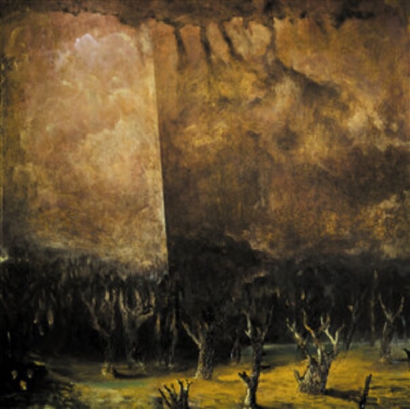 Vacuum Coeli - Coloured Vinyl/Product Detail/Metal