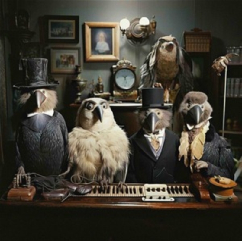 Sure Beats Living/Product Detail/Dance